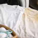 Sniegbaltas lietas bez piepūles un kāpēc tavs mīļākais T-krekls kļūst nodevīgi dzeltens sniegbaltas-lietas-bez-piepules-un-kapec-tavs-milakais-t-krekls-klust.png